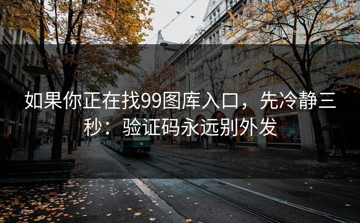 如果你正在找99图库入口，先冷静三秒：验证码永远别外发