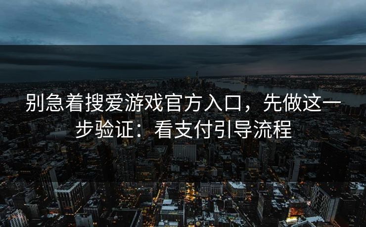 别急着搜爱游戏官方入口，先做这一步验证：看支付引导流程